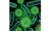Vi khuẩn vi sinh trong xử lý nước thải